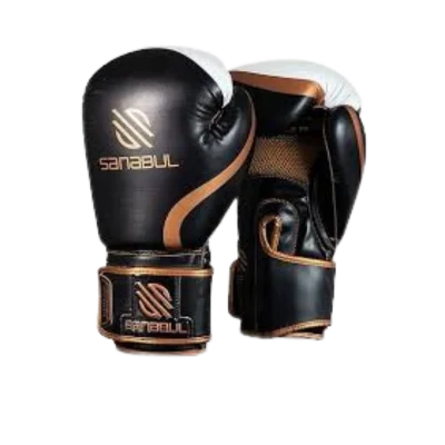 Sanabul Essential Boxing Gloves -Price